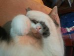 20130224_172555.jpg 20130224_172555.jpg