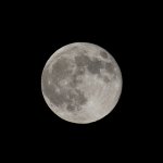 O15A3696.jpg