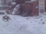 Snow Storm 4.jpg