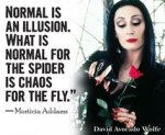 5640af905191ea78a479784218691e4b--morticia-addams-spiders.jpg