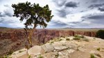 4k_Little Colorado_APRIL_2015.jpg