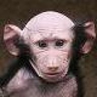 mikeymac